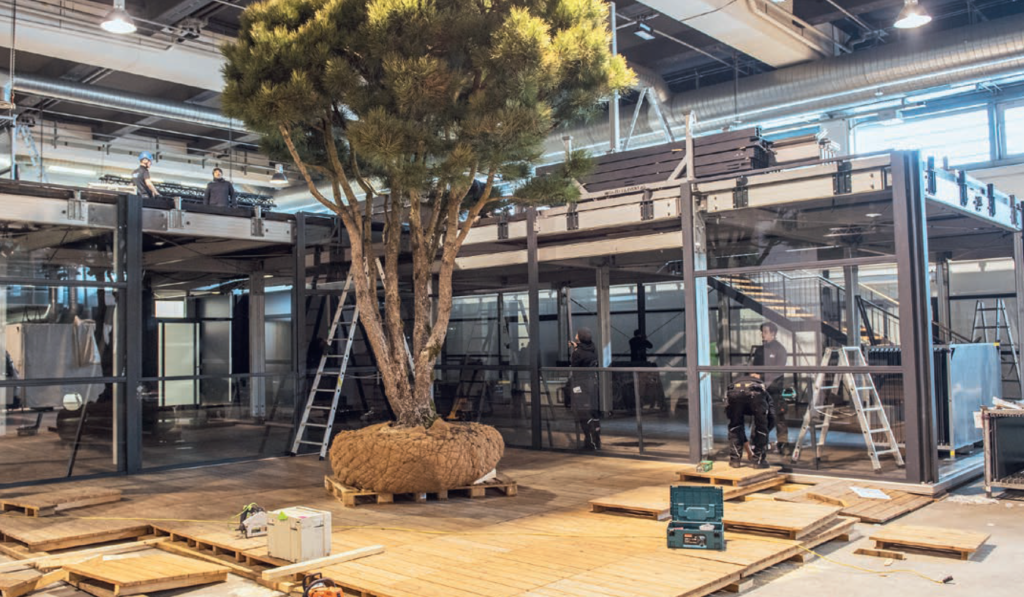 2018 war noch alles in Ordnung. Da konnten Pflanzen geliefert und auch in Schaugärten integriert werden. Foto: MCH Messe Zürich/Giardina